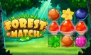 Forest Match